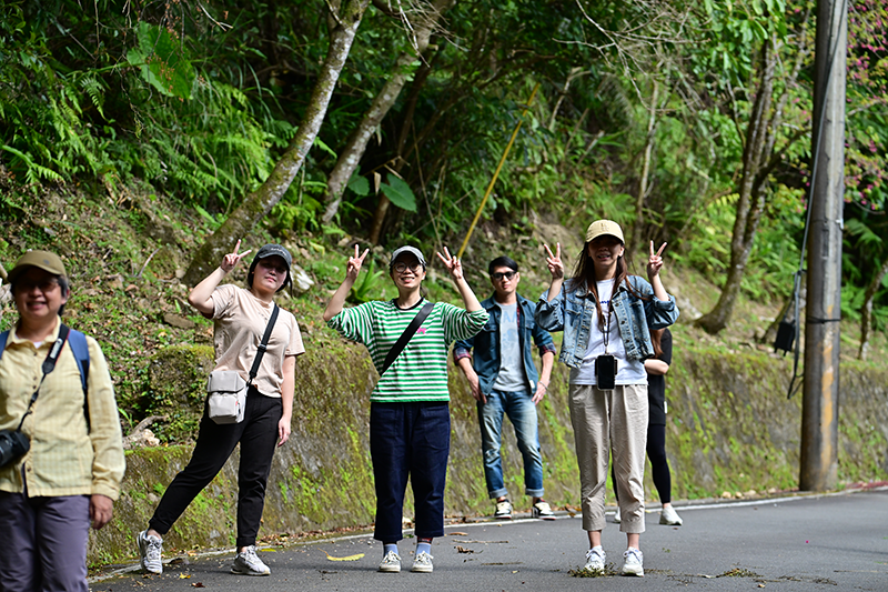 Jinguoliao Fern Path