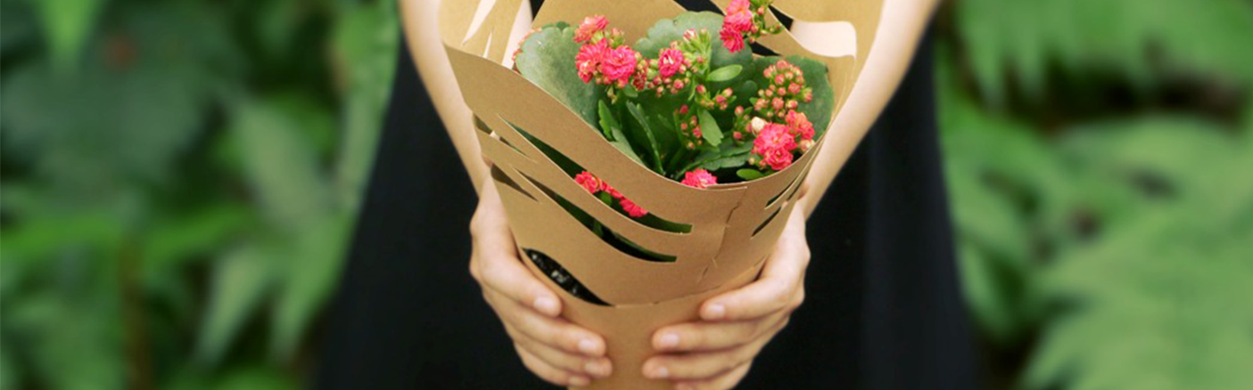 从花束到花盆——让包装不只是包装