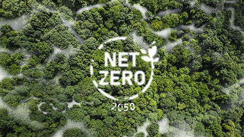 net zero by 2050