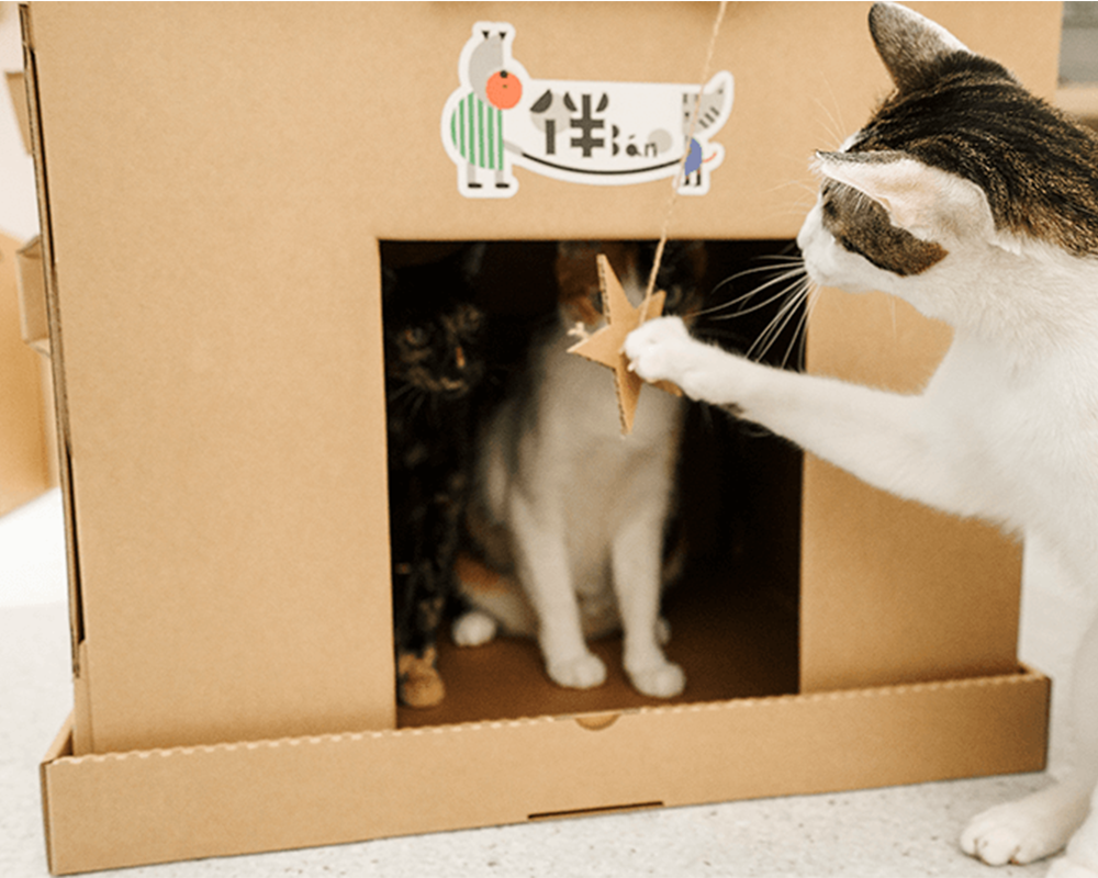 Howl House – Animal Companions Playbox